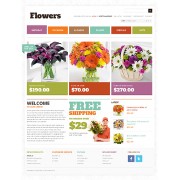 Plantilla nº: 40524