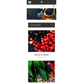 Plantilla nº: 53040