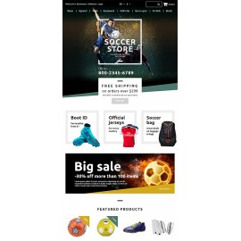 Plantilla nº: 55431